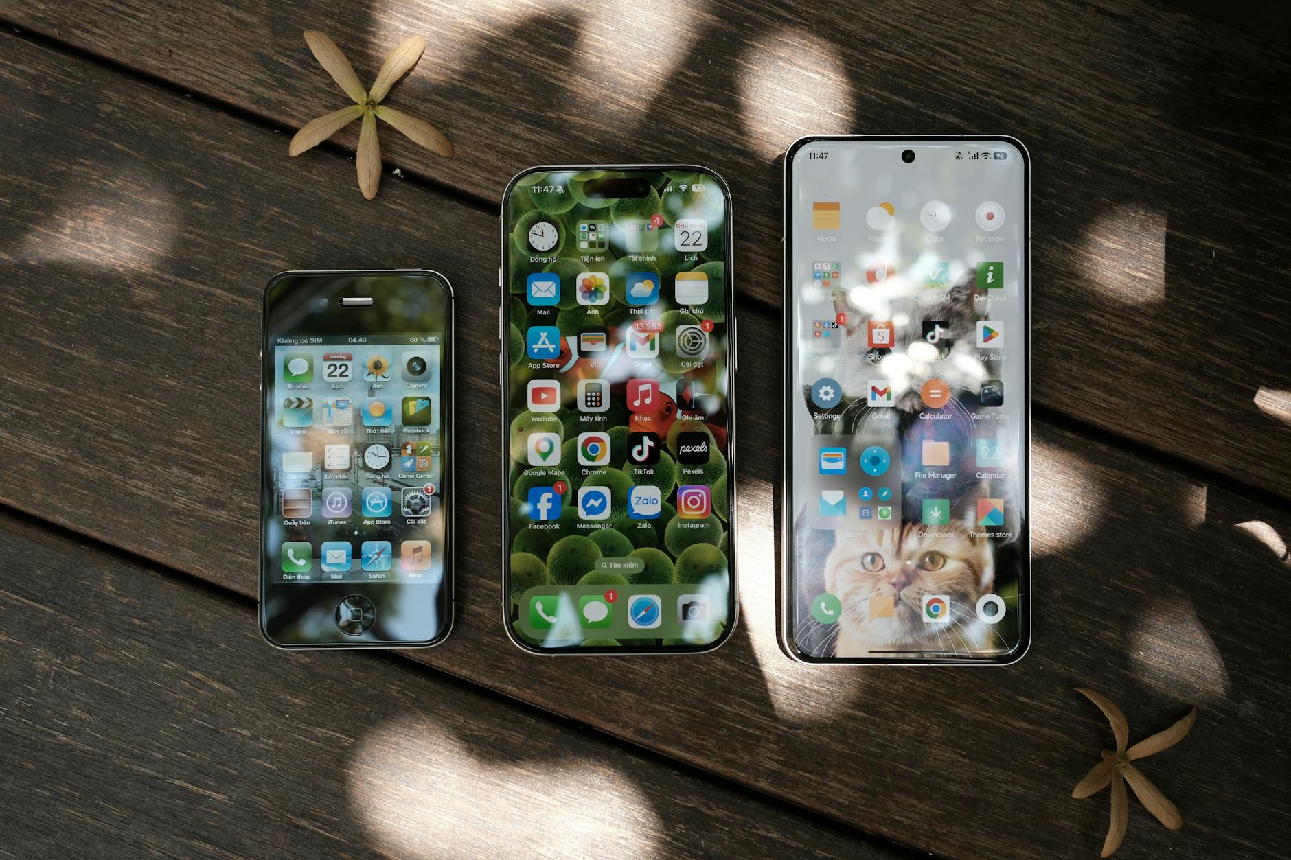 iPhone SE 4 vs Galaxy A55