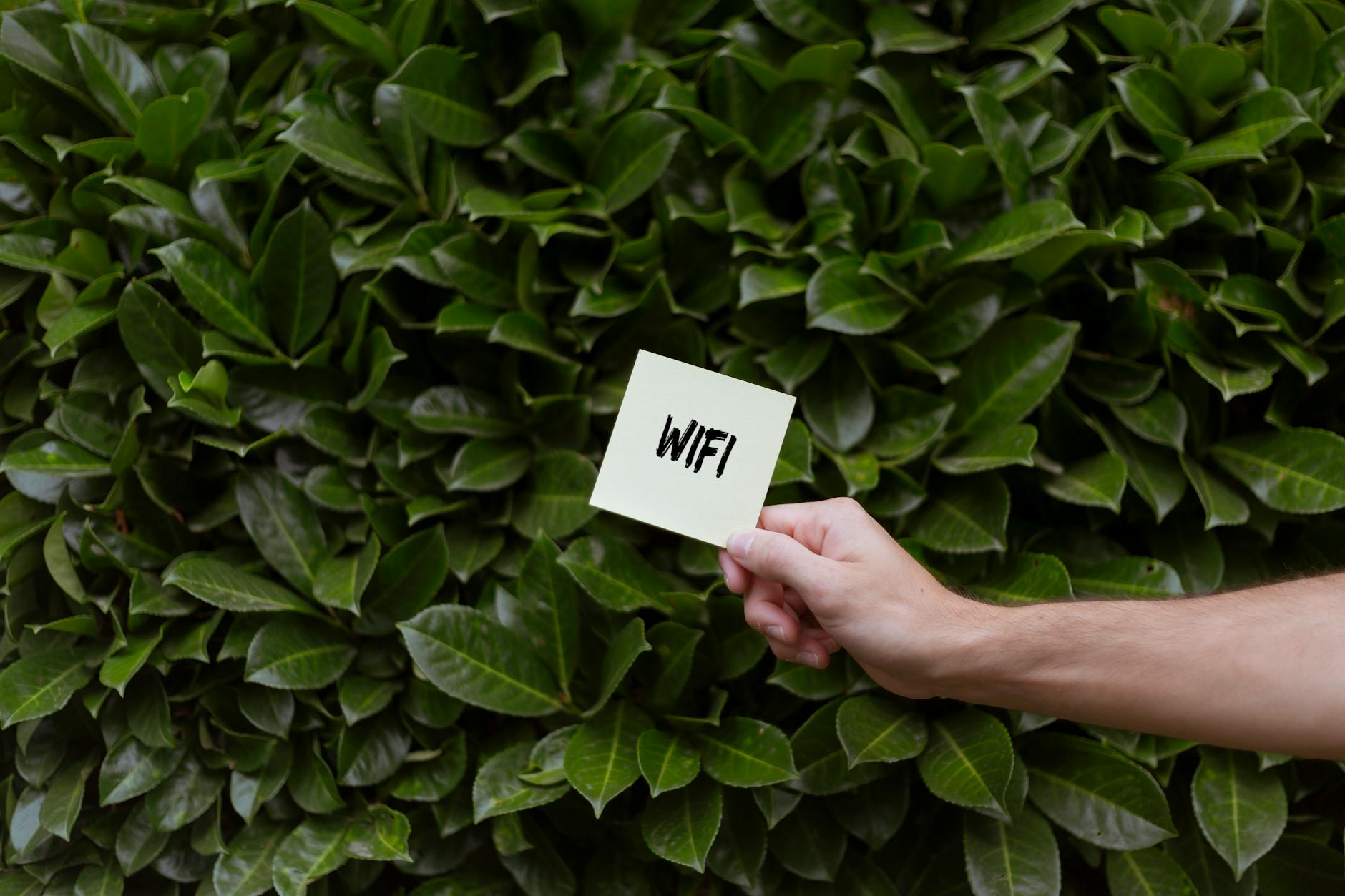 Wi-Fi lento? Veja o que pode estar causando